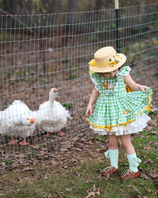 Emily’s Little Farm Friends Dress 🌼🐓preorder