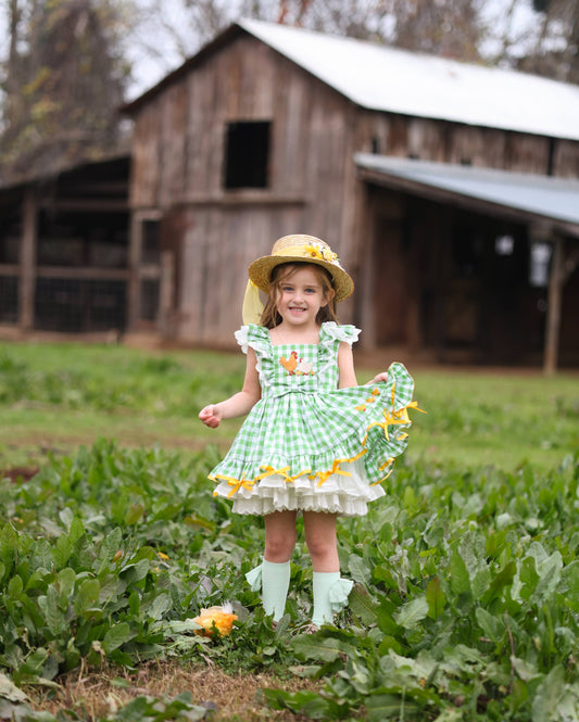 Emily’s Little Farm Friends Dress 🌼🐓preorder