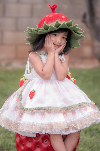 Strawberry Lumière Dress – Vintage Inspired Boutique Girls Dress