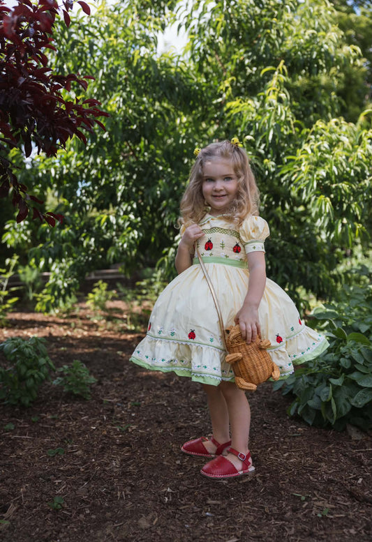 Ladybug Dress – Embroidered Boutique Girls Dress | Ladybug Print Lace Heirloom Style Summer Dress