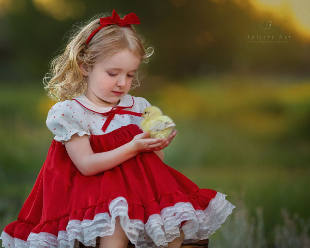 Petit Rouge Délice Dress – Vintage Inspired Boutique Girls Dress | Lace Organza Heirloom Style Special Occasion