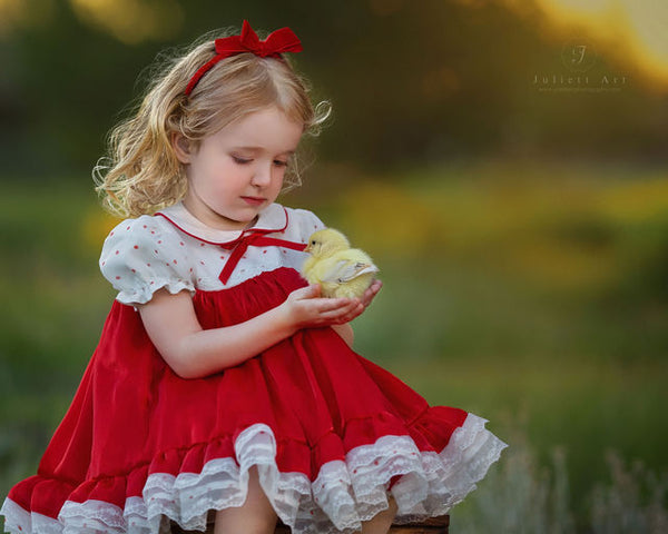 Petit Rouge Délice Dress – Vintage Inspired Boutique Girls Dress | Lace Organza Heirloom Style Special Occasion