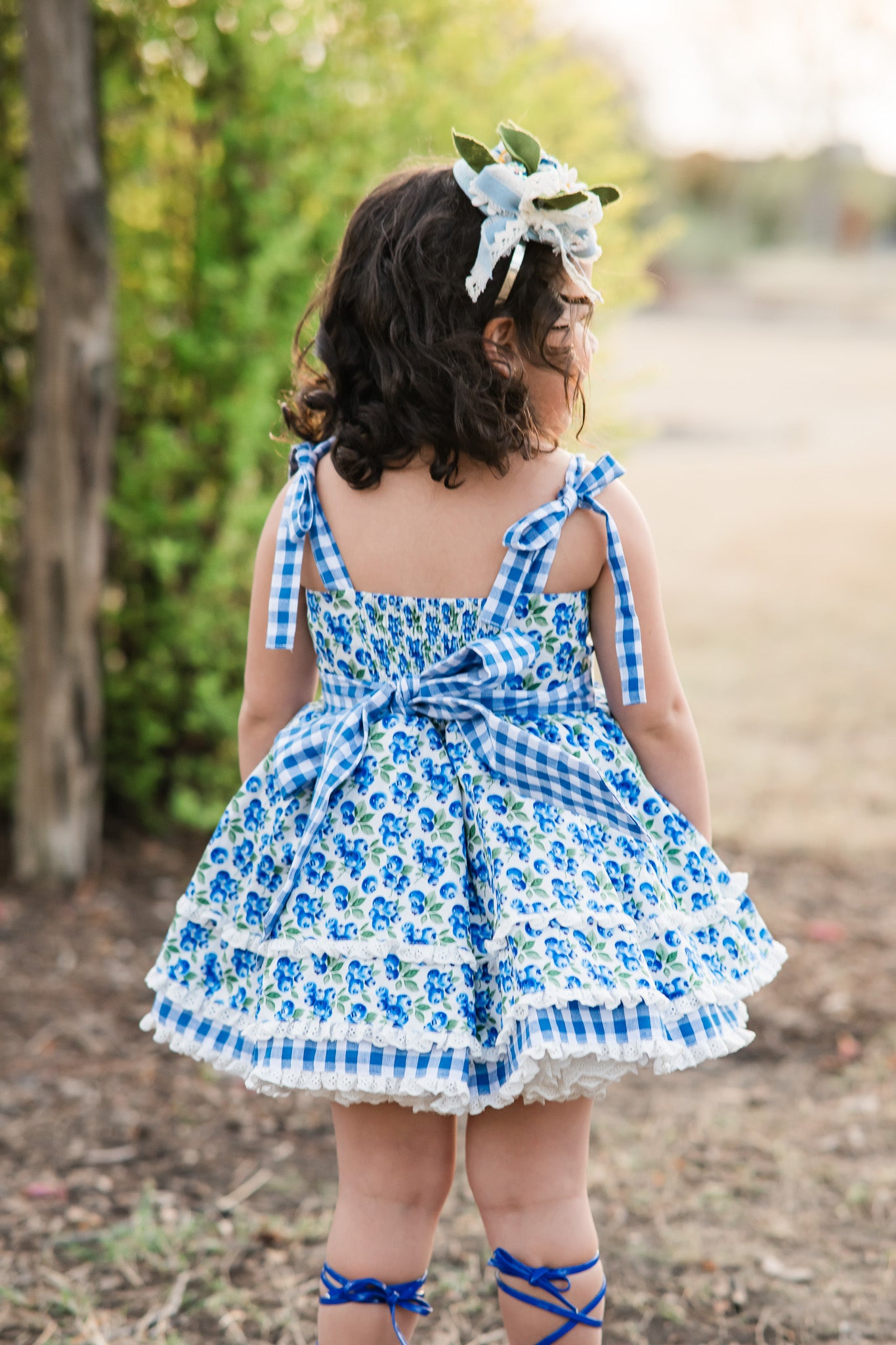 Blueberry Picnic Dress