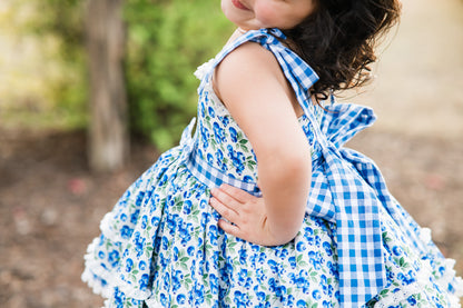 Blueberry Picnic Dress