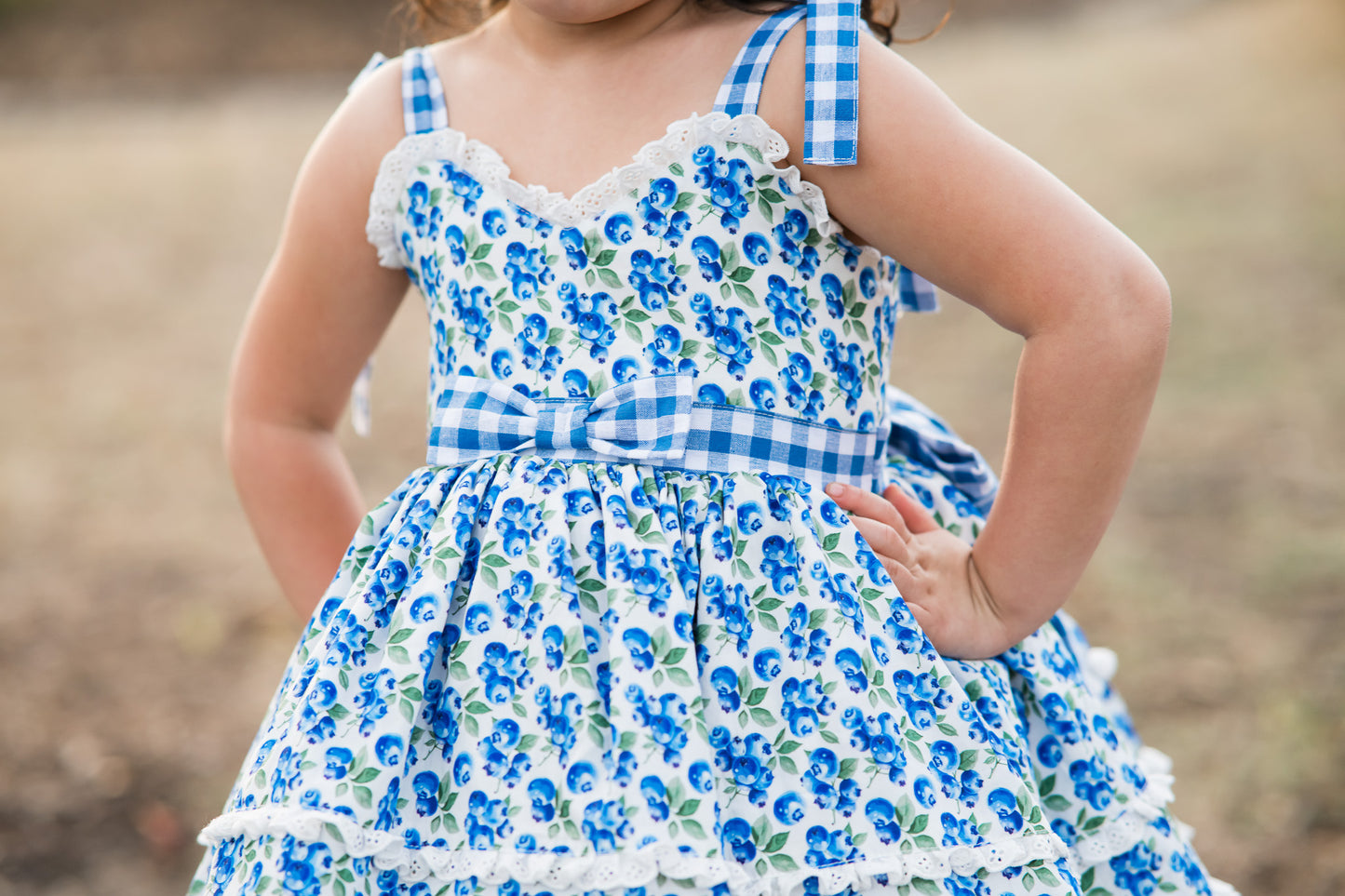 Blueberry Picnic Dress