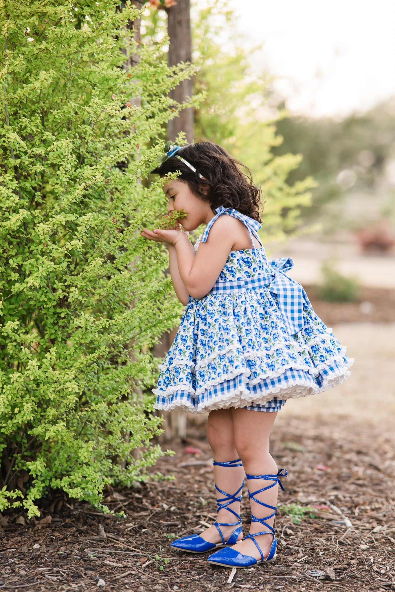 Blueberry Picnic Dress