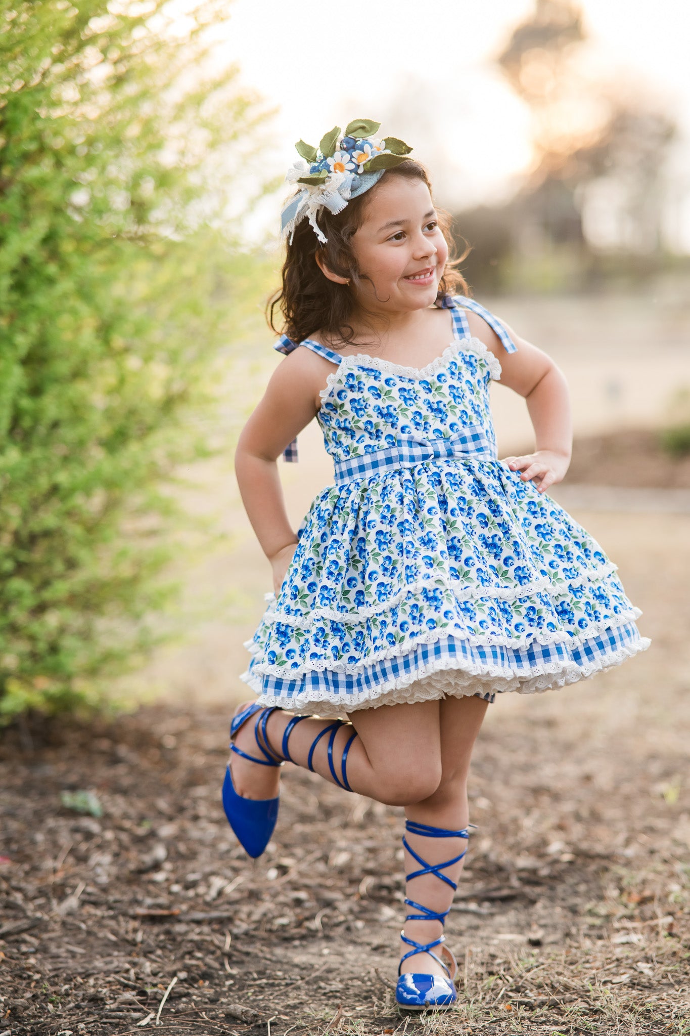Blueberry Picnic Dress