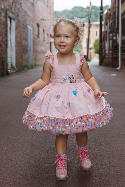 Parade en Rose Dress – HAND Embroidered Vintage Inspired Cotton Boutique Girls Dress | Tulle Lace Ruffle Heirloom Style