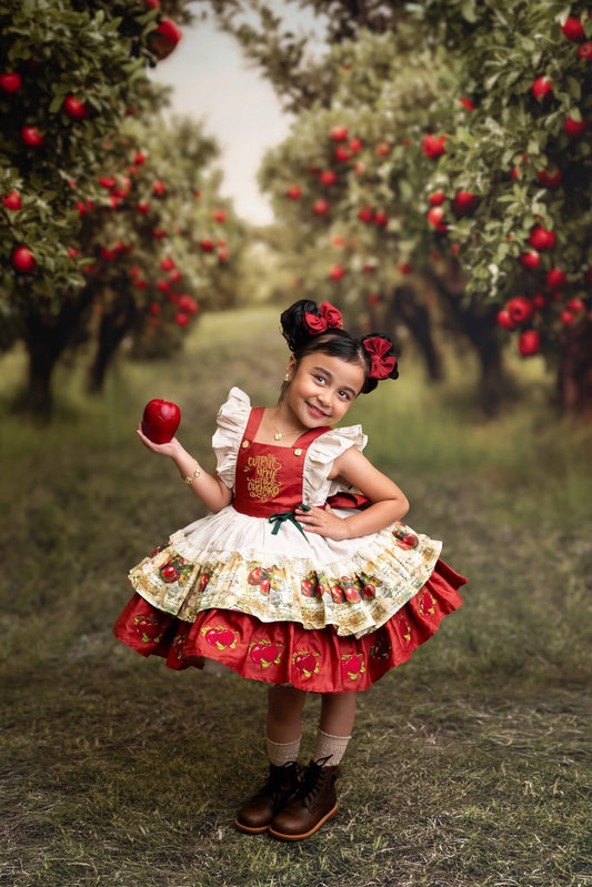 Apple Magic Dress – Embroidered Vintage Inspired Cotton Boutique Girls Dress | Vintage Print Lace Heirloom Style
