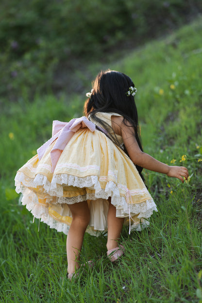 ✨ Mama Goose Spring Dress ✨ | Ready to Ship