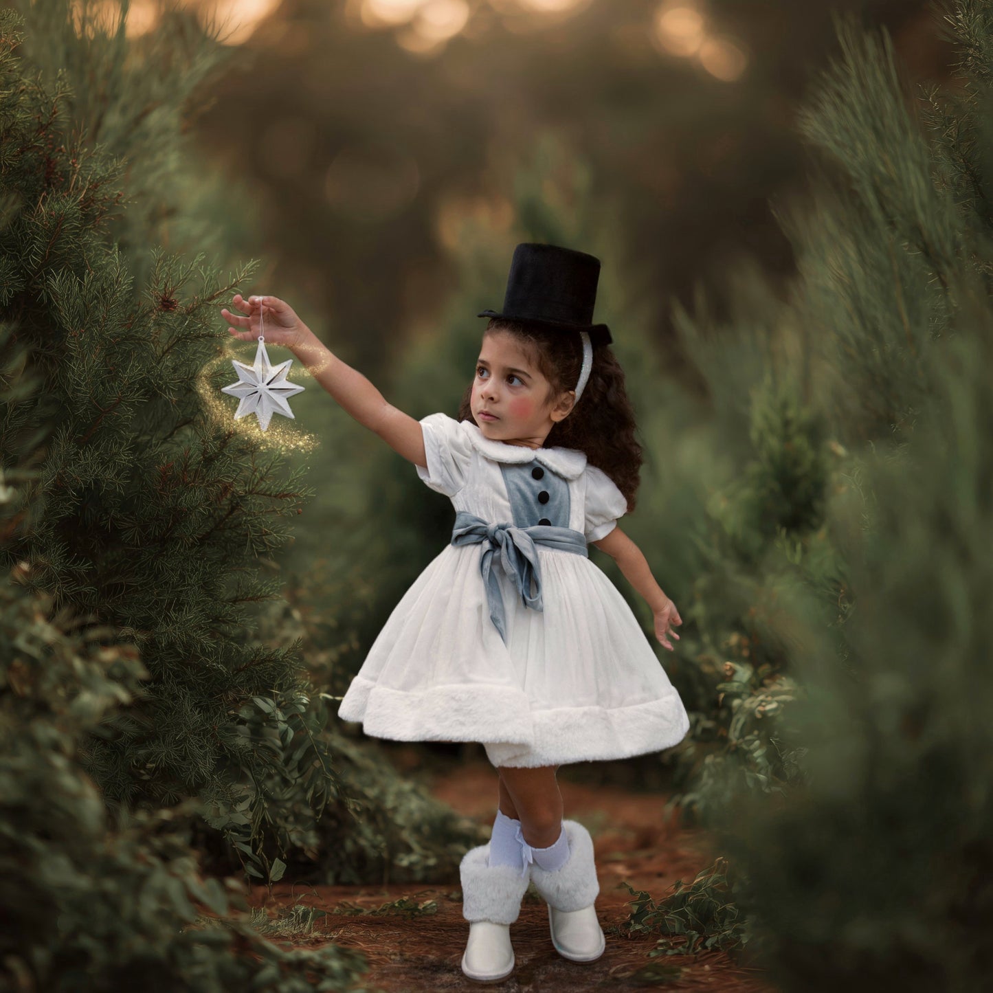 Jolly Snow Dress, Preorder